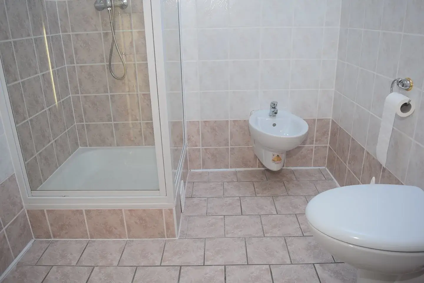 Blick in ein Badezimmer mit Duschkabine, WC und Bidet